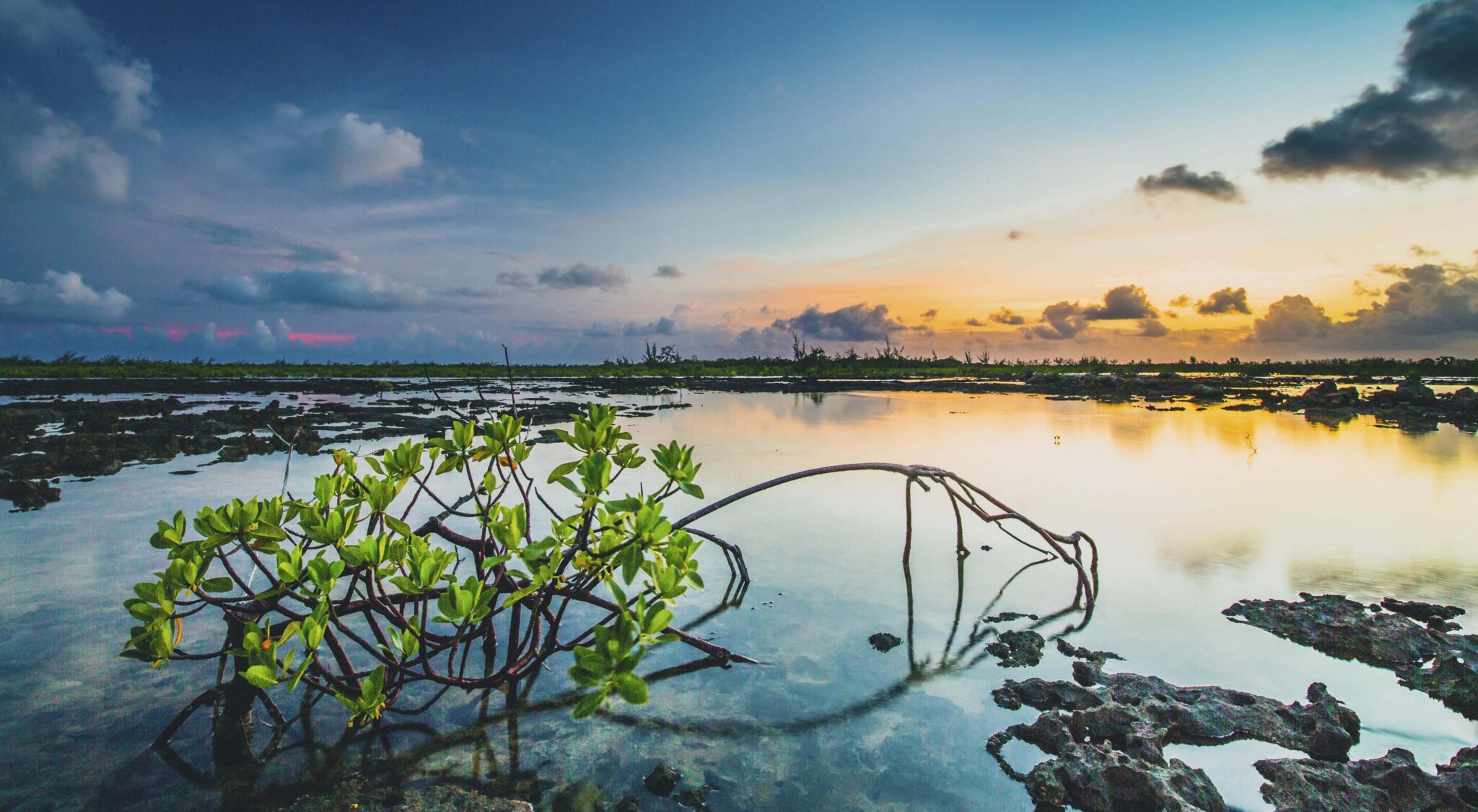 Image showcasing How Does Water Become a Renewable Resource? - Merina Shik